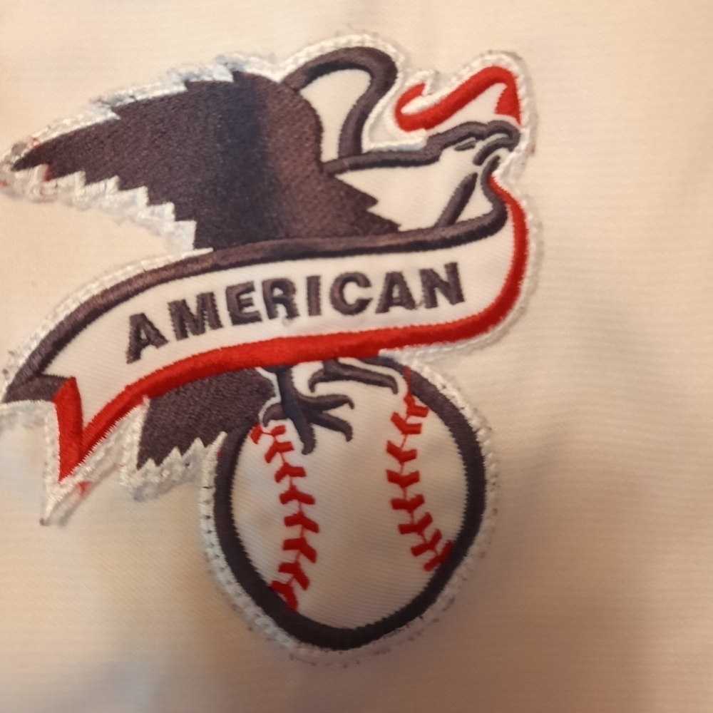 Dynasty Official  Men's Angels Jersey - Picture 4 of 6